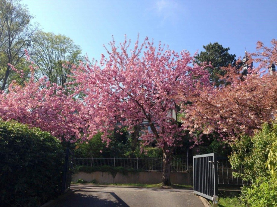 So sieht es bald auf der Stra�e aus ... Dachgeschosswohnung Wetter